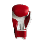 Pro Style Training Gloves